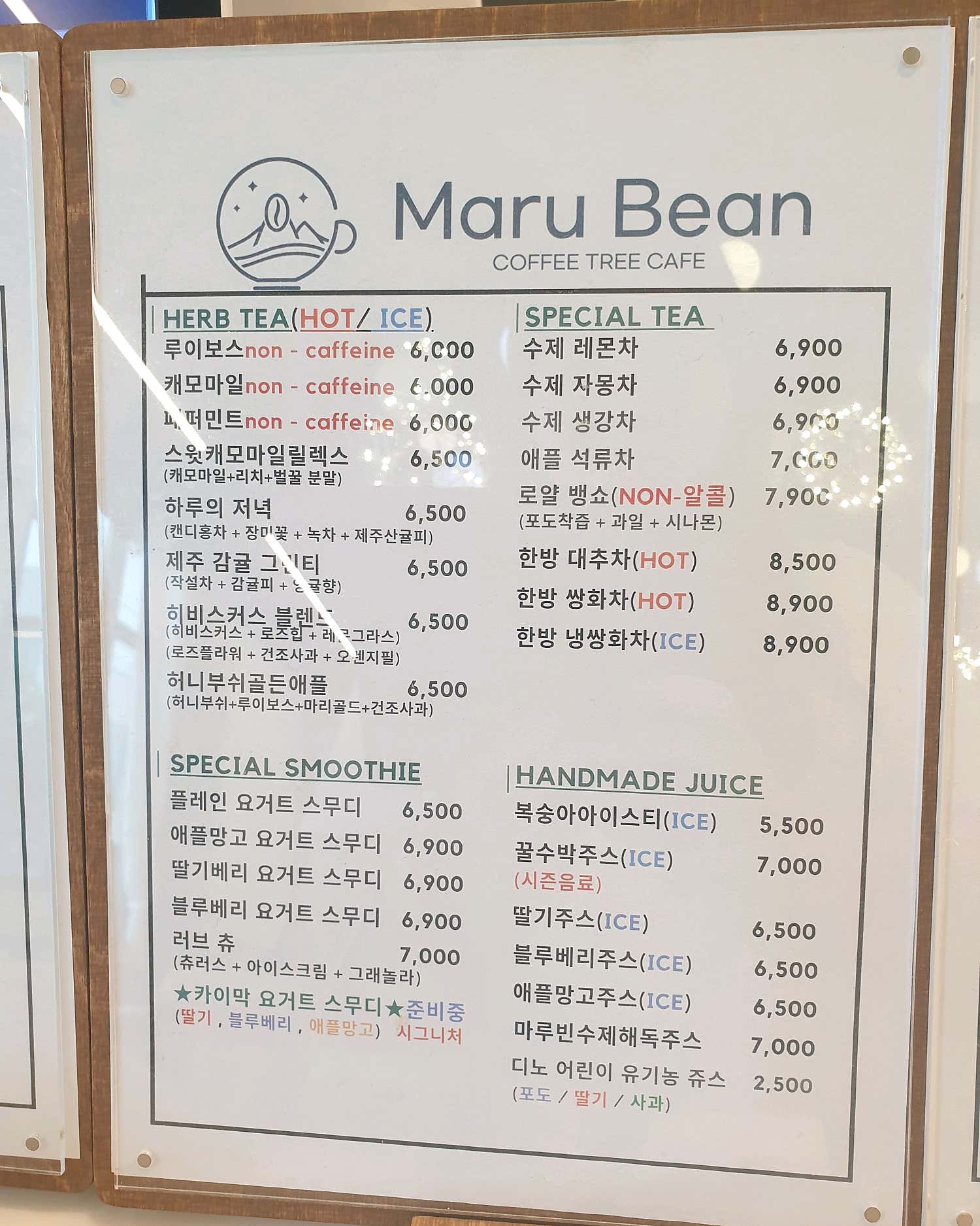 올리브2024
