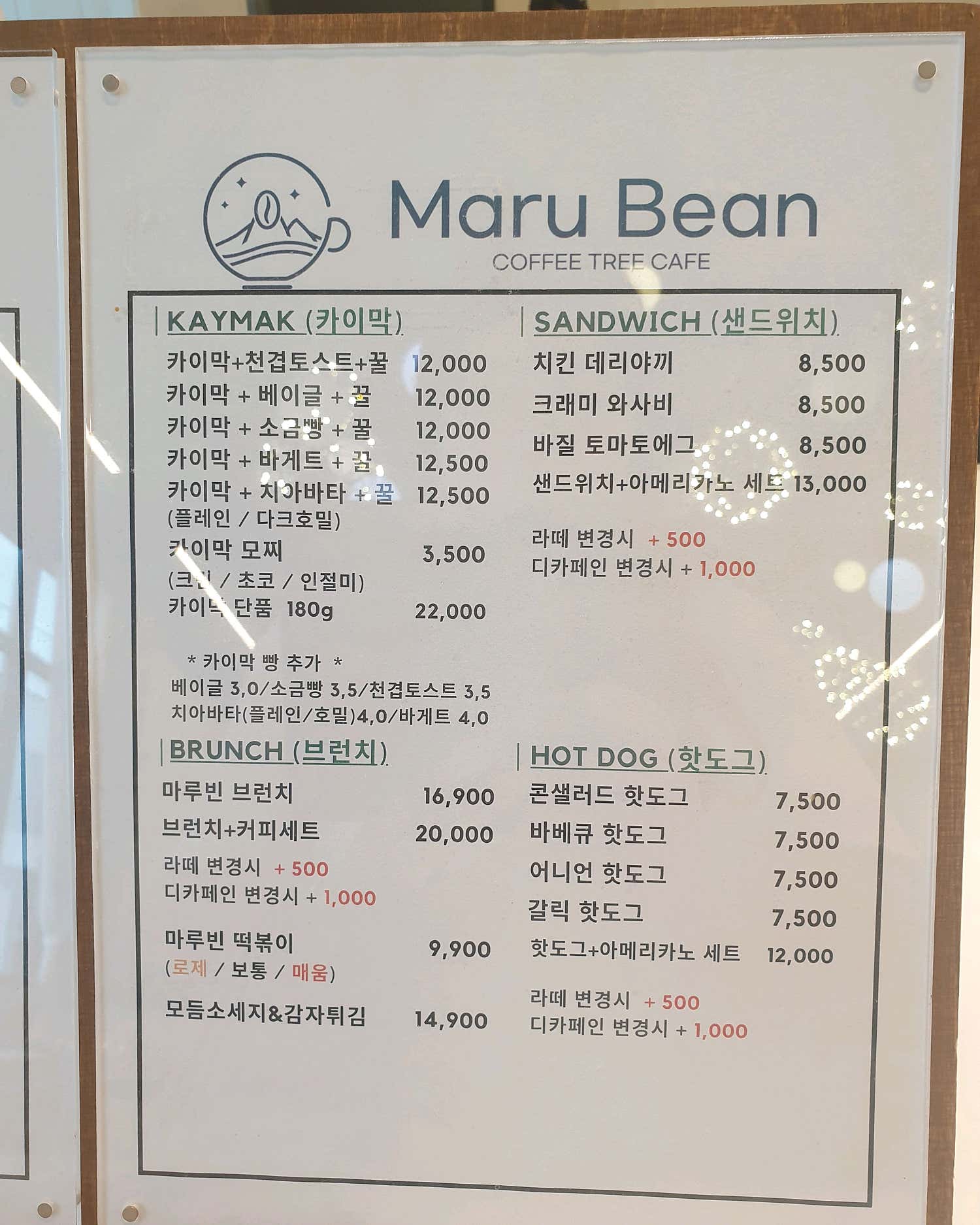올리브2024