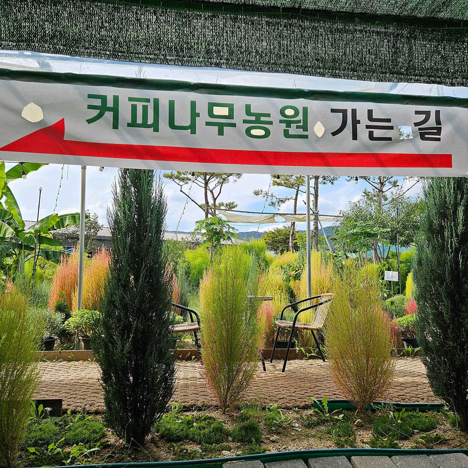 뽀동이3