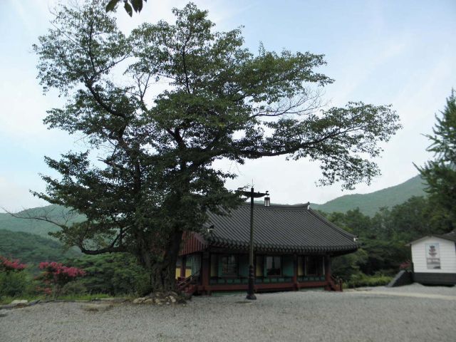 성지순례(聖地巡禮) - 선석산(禪石山) 선석사(禪石寺)