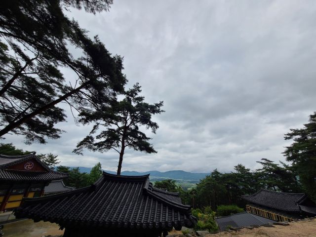 성지순례(聖地巡禮) 경주 남산 - 경주남산미륵곡석불좌상