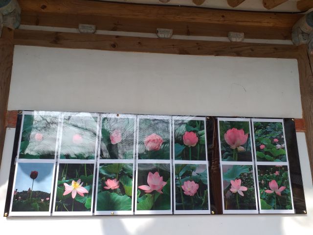 구미 태조산 도리사