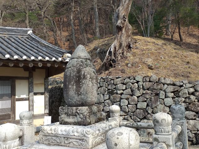 구미 태조산 도리사