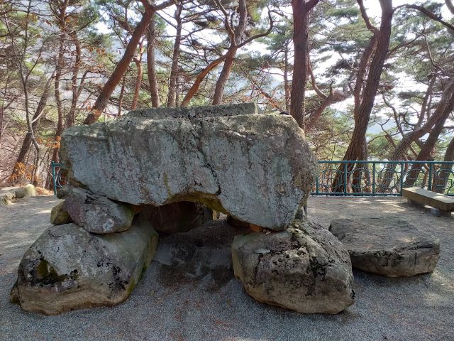 구미 태조산 도리사
