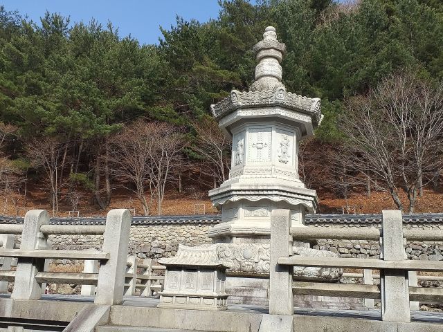 구미 태조산 도리사