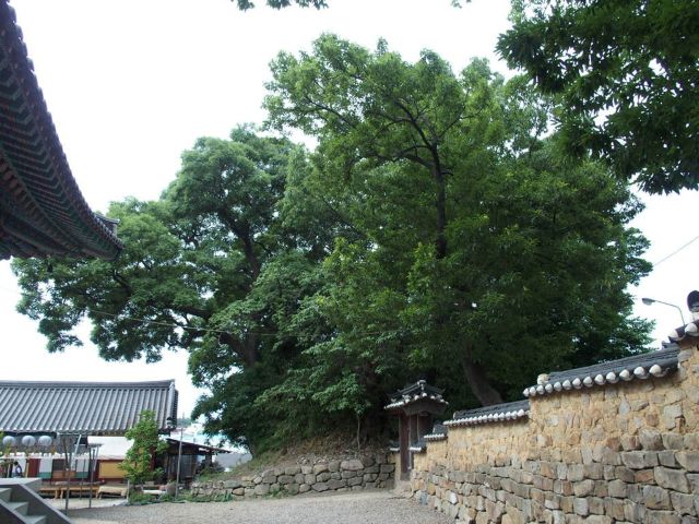 임허사