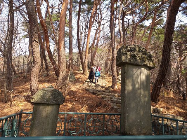 구미 태조산 도리사