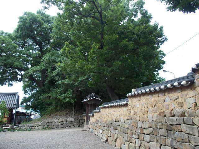 임허사