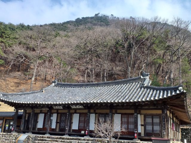 구미 태조산 도리사
