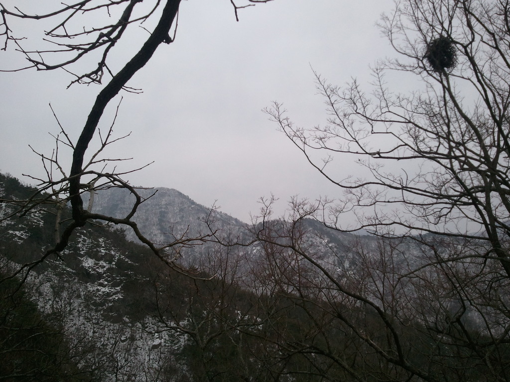 갤러리 이미지