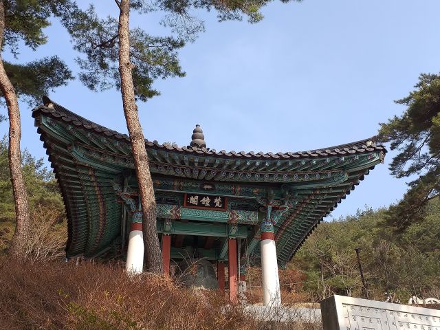 구미 태조산 도리사
