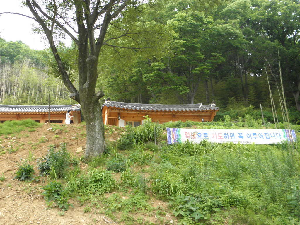 갤러리 이미지