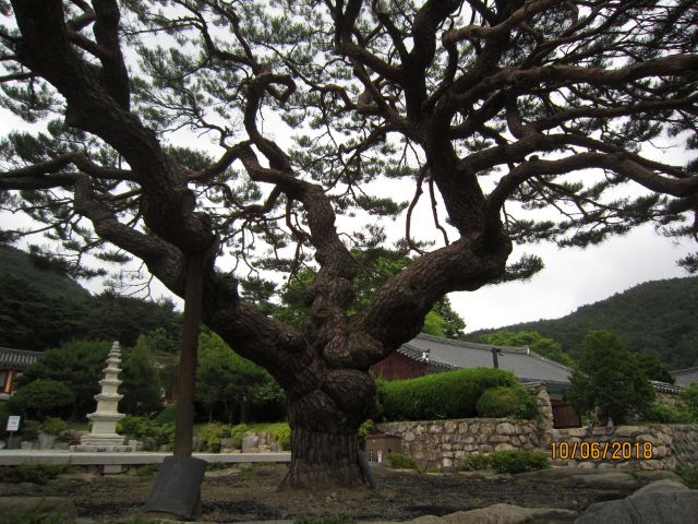 성지순례(聖地巡禮) 포항 - 내연산(內延山) 보경사(寶鏡寺)