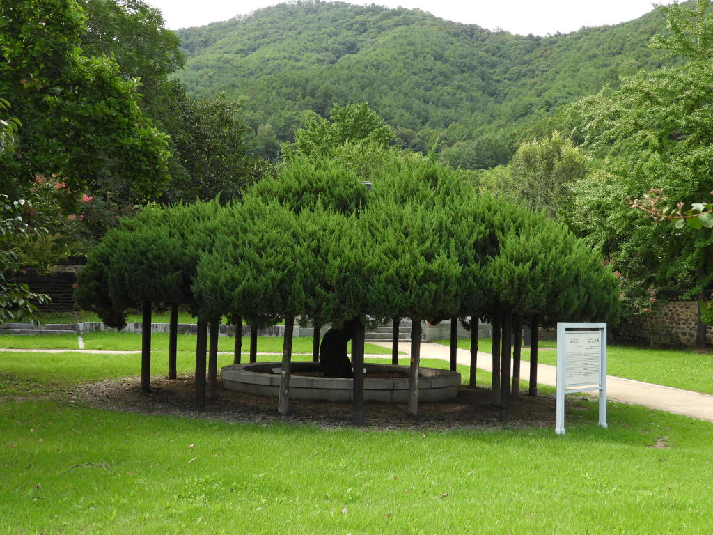 성지순례 홍제사