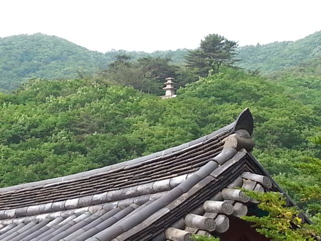 성지순례 팔공산 선본사