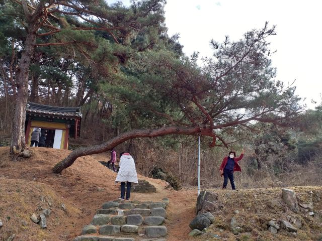 성지순례 안동 아기산 봉황사