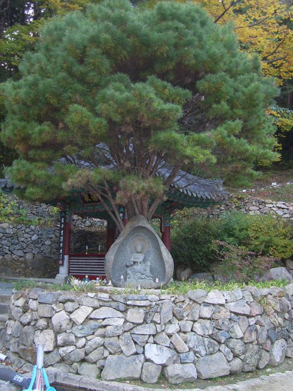 성지순례지 청도 비슬산 용천사