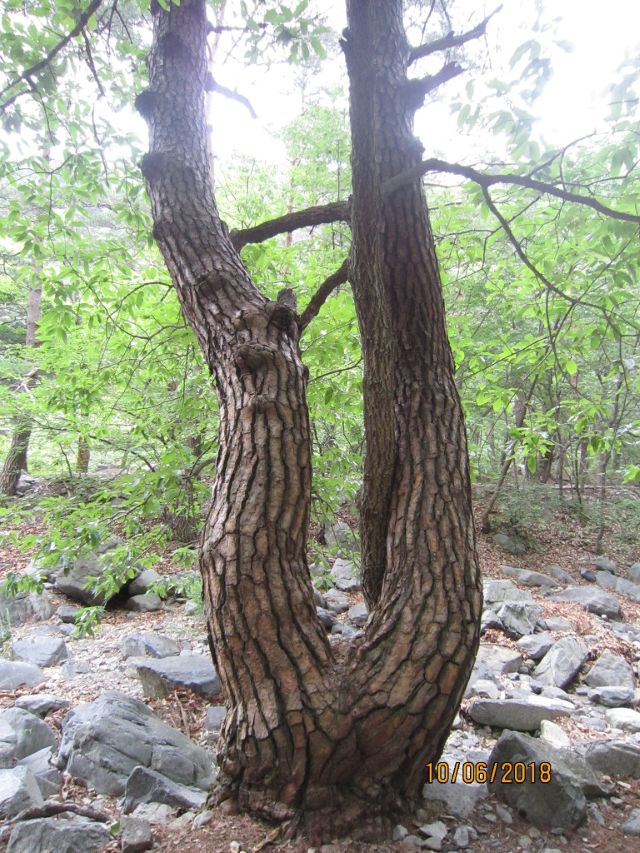성지순례(聖地巡禮) 포항 - 내연산(內延山) 보경사(寶鏡寺)