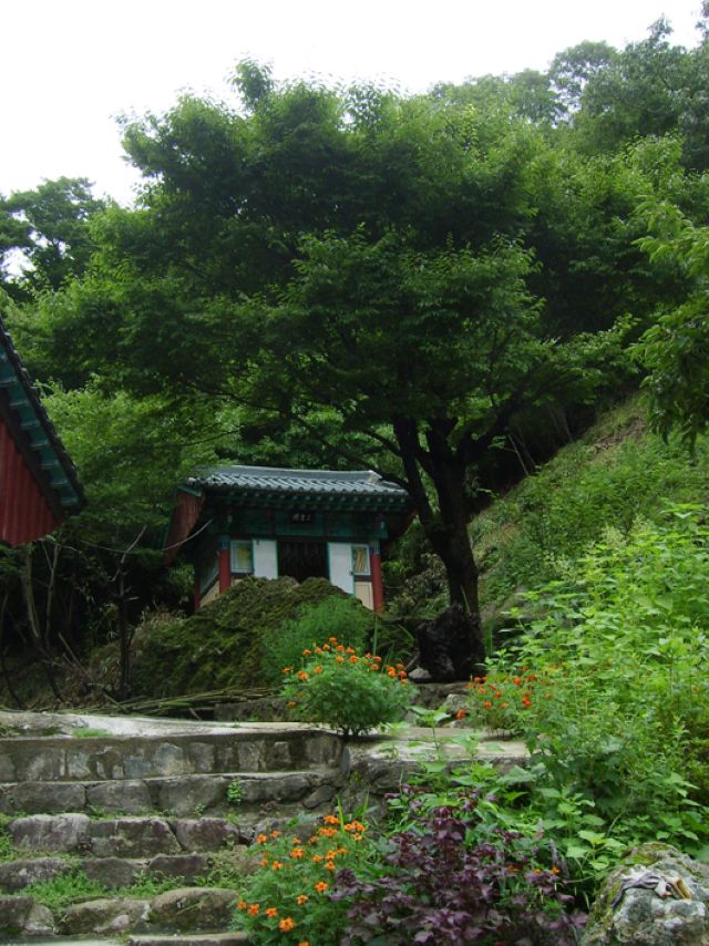  성지순례 망해산 고석사