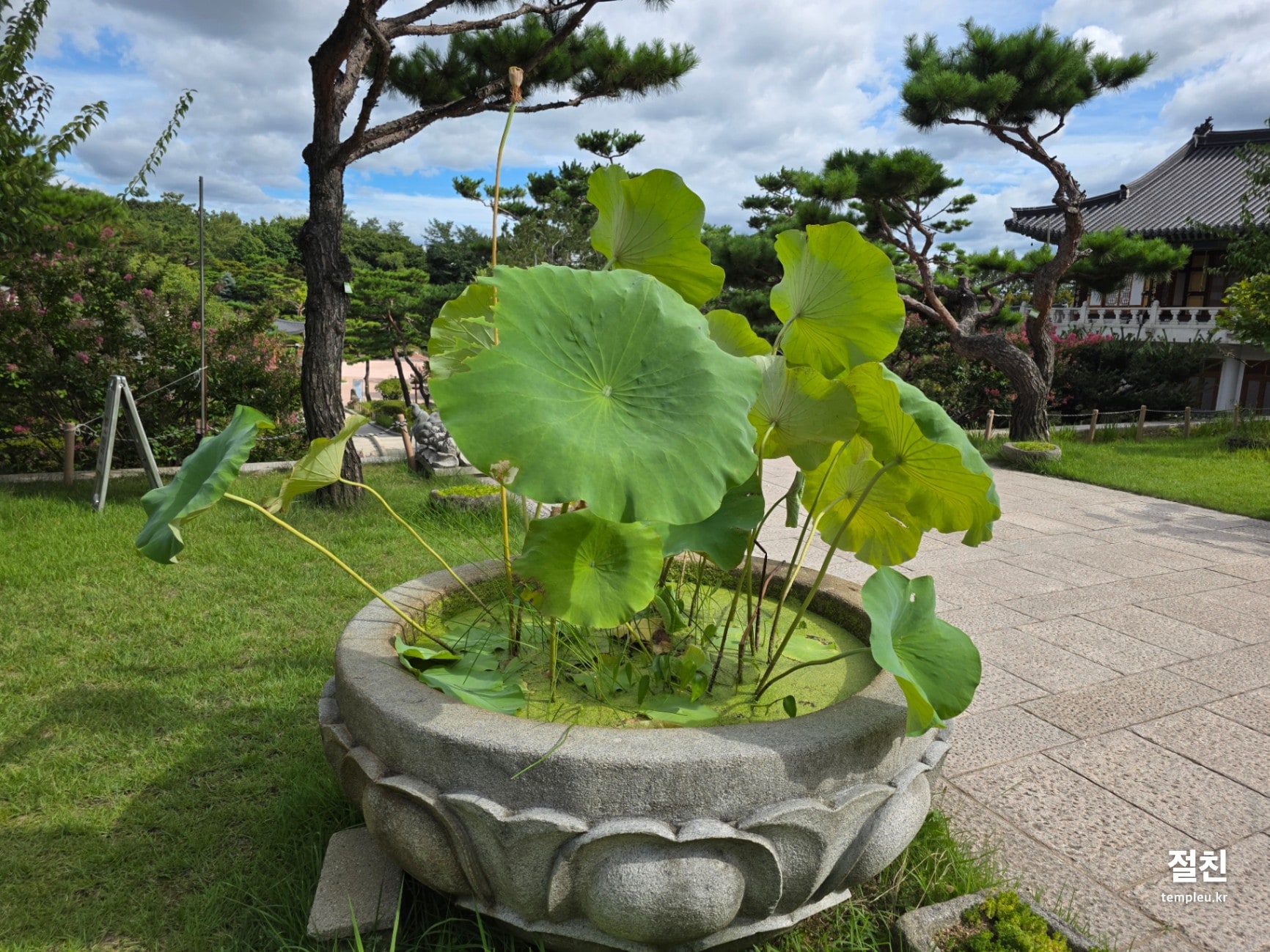 봉녕사(수원) 전경 (6)