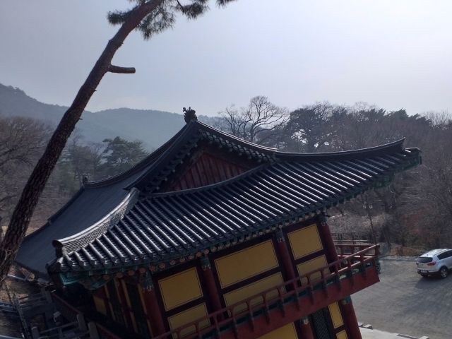 구미 태조산 도리사