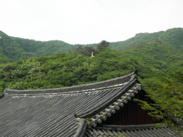 성지순례 팔공산 선본사