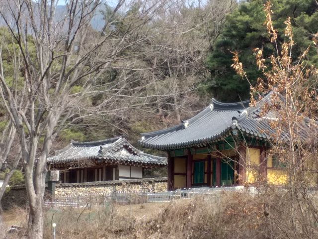 구미 태조산 도리사