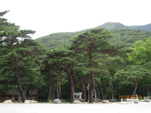 성지순례(聖地巡禮) 포항 - 내연산(內延山) 보경사(寶鏡寺)