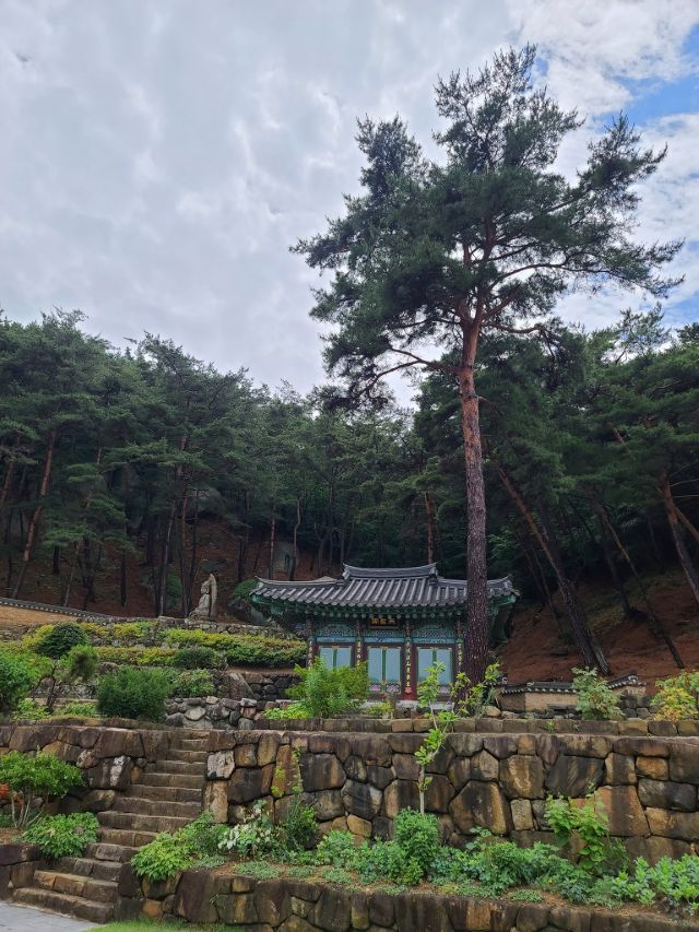 성지순례(聖地巡禮) 경주 남산 - 경주남산미륵곡석불좌상