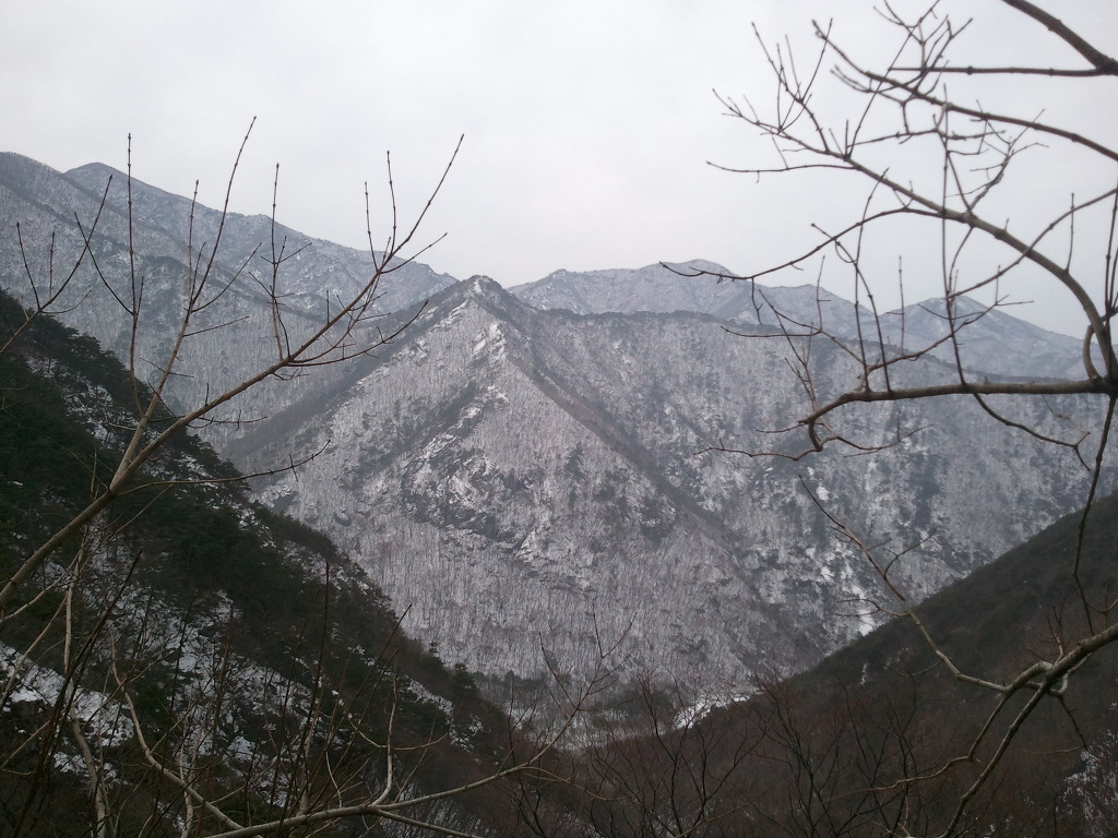 갤러리 이미지